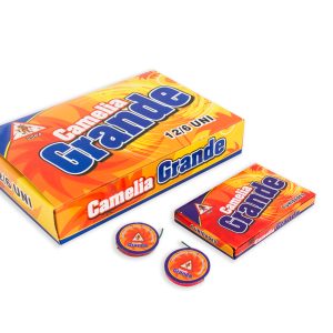 Camelia Grande